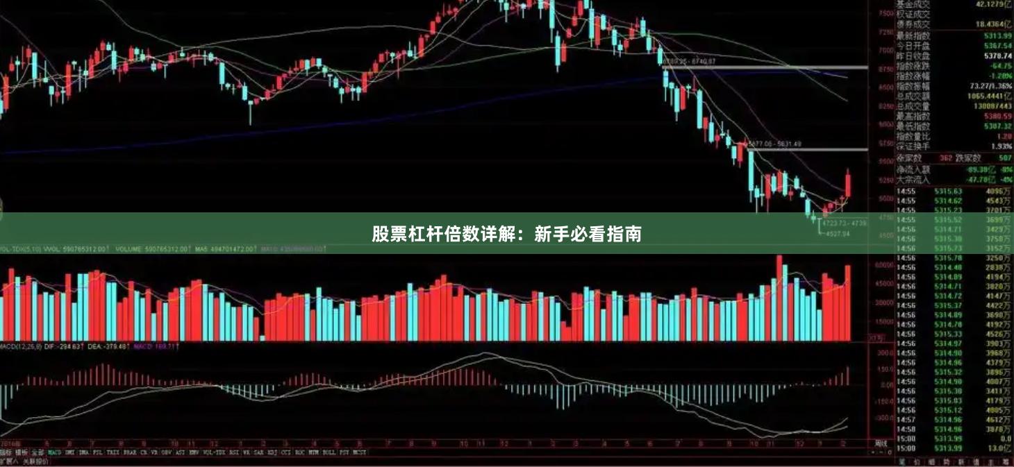 股票杠杆倍数详解:新手必看指南