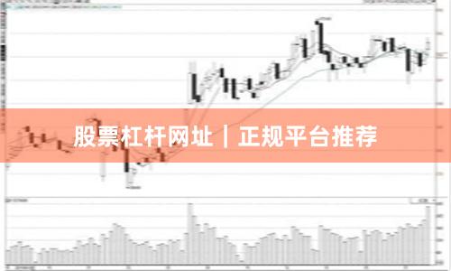 股票杠杆网址｜正规平台推荐